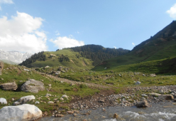 Биздин айыл